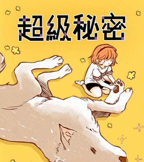 超级秘密封面